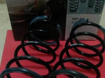 Bilstein grupo n y muelles eibach para citroen saxo  y peueg