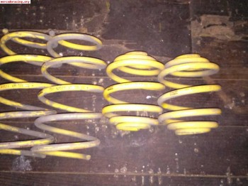 Muelles apex clio sport