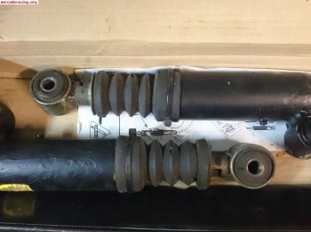 Suspension trasera psa