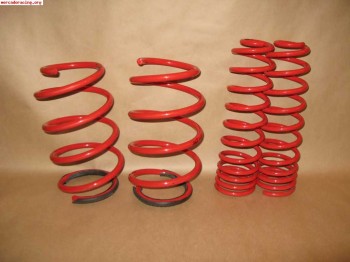 Muelles selex -3.5cm renault megane ii