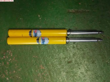 Suspension lip-sport para saxo/106