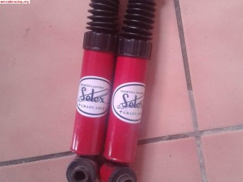 Suspension trasera 106 y saxo