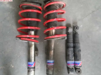 Suspensión pts 306, zx y xsara