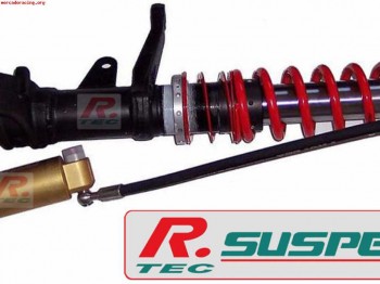 Se compra amortiguacion 3-2 vias para saxo/106