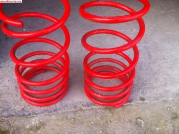 Vendo muelles para grupo psa