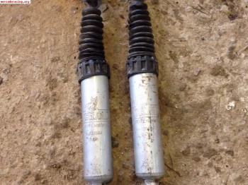 Suspension trasera 205