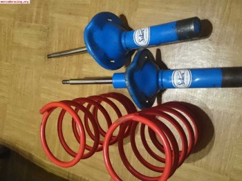 Amortiguadores delanteros selex azules peugeot 205 o 309
