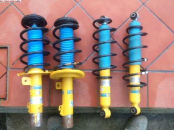 Suspensión bilstein para 207