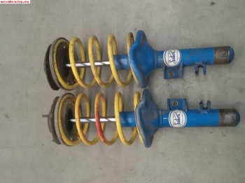 Suspensiones selex para 205 rallye