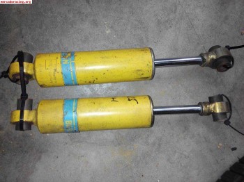 Suspensiones blistein traseras asfalto psa con rotula