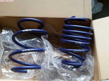 Muelles h&r clio sport 197