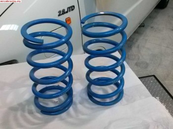 Citroen saxo challenge