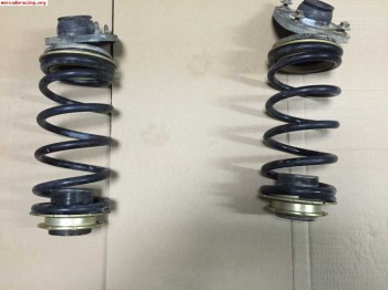 Cuerpo roscado con muelles de tierra pts