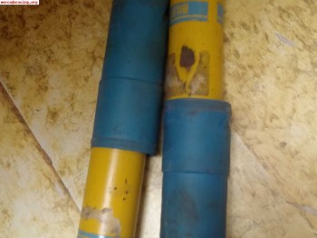 Suspension blistein 205 