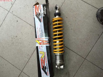 Amortiguadores traseros ohlins para clio 