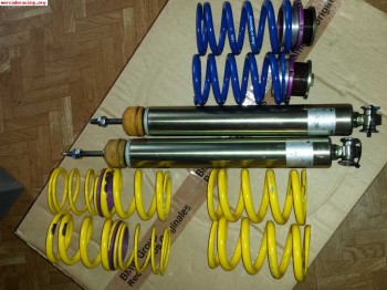  suspension tras. clio sport