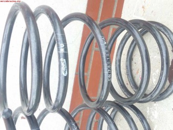 Muelles eibach -6 cm saxo