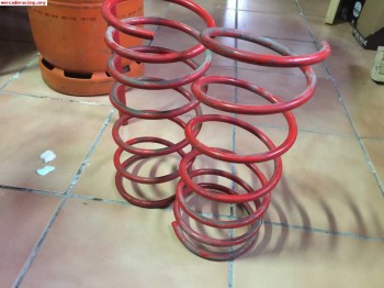 Muelles para 106 y saxo