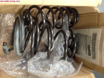 Muelles clio sport marca h&r