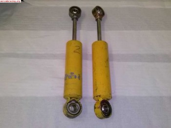 Amortiguadores traseros bilstein citroen peugeot