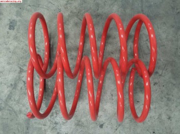 Muelles delanteros nuevos para peugeot 206