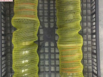 Se vende amortiguadores tecnoshock