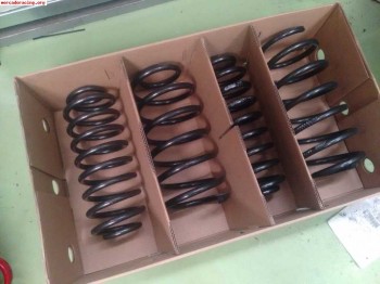 Juegos de muelles eibach para golf 4