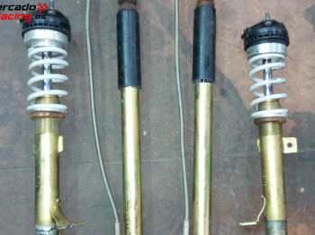 Selex gold fiesta st 150