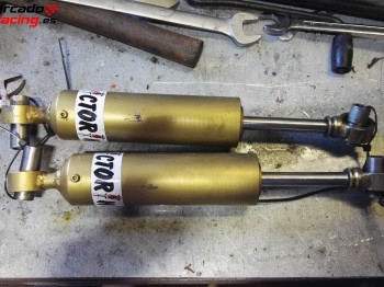 Amortiguadores victorino sport 205