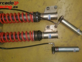 Suspensiones tierra fox para evo