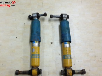 Suspensión trasera blistein