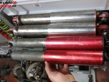 Amortiguadores fournales para semog