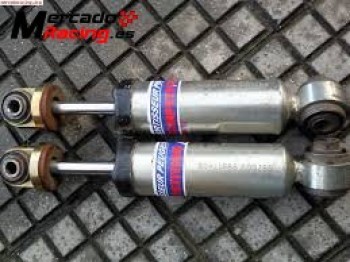 Suspensión pts grupo a para saxo 106 ax