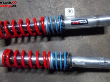 Suspension tecnoshock 205,306,309,zx...