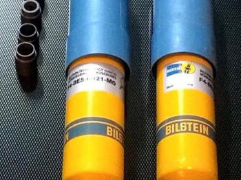 Blistein saxo gra tierra