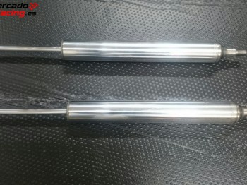 Cartuchos traseros clio cup 2005