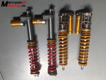 Suspension ohlins evo x