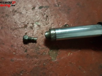Cargas 41mm bilstein copa saxo
