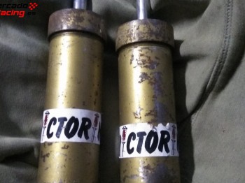 Suspensión trasera saxo