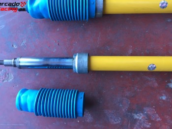 Amortiguadores blisten para saxo o 106