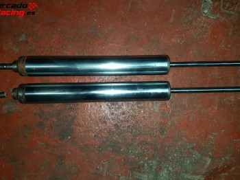 Cargas bilstein trofeo saxo