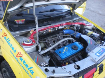 Barra torretas iresa peugeot 205 rallye