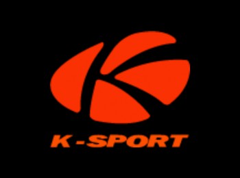 Suspensión r5  gt turbo 