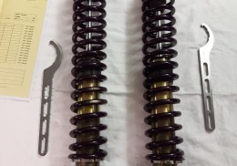 Reiger tarmac kit escort mk2