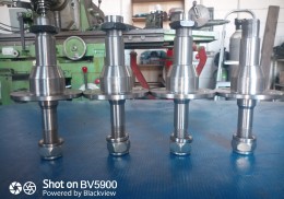 Bujes regulables puente trasero citroen saxo/ peugeot 106