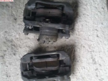 Pinzas de clio grupo n