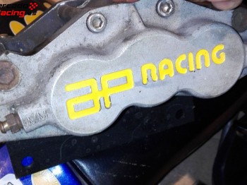 Ap 6 pistones con discos y nucleos