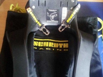 Hans schroth resina inyectada