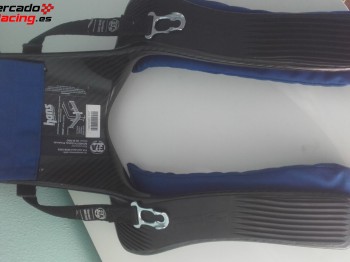 Hans carbono schroth