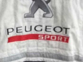 Busco mono peugeot sport